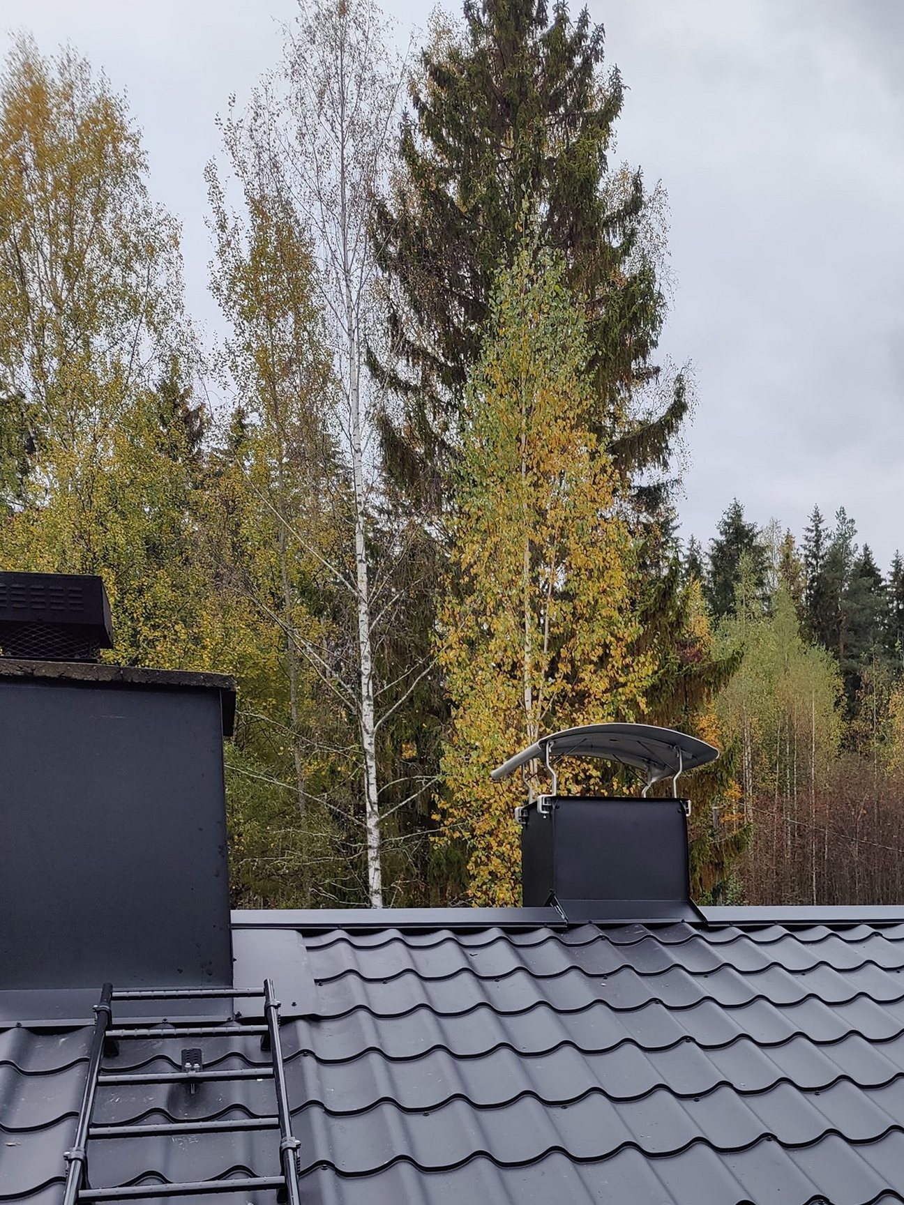 Uusi piipun pellitys ja hormisuojaus